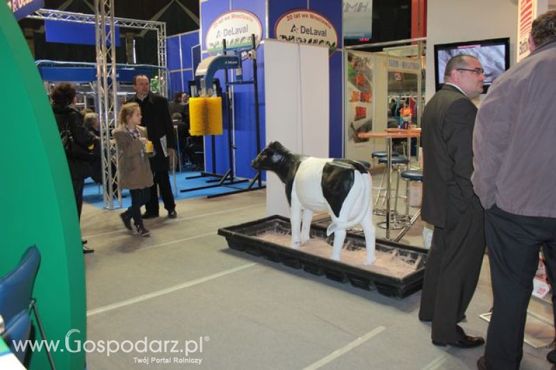 Relacja z XI Międzynarodowych Targów Fermy Bydła - dzień 2 c.d.