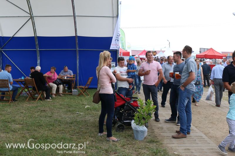 Skavska Hale na Regionalnej Wystawie Zwierząt Hodowlanych i Dni z Doradztwem w Szepietowie 2017