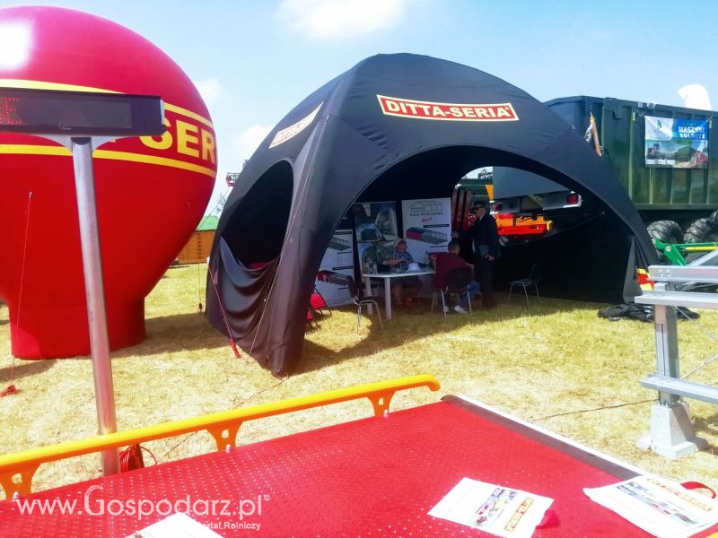 Opologra 2019