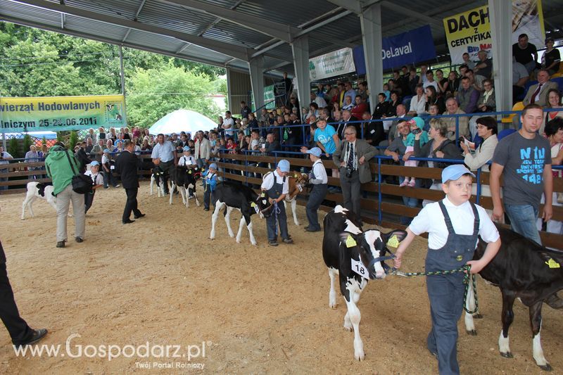 Młody hodowca na XVIII Regionalnej Wystawie Zwierząt Hodowlanych w Szepietowie