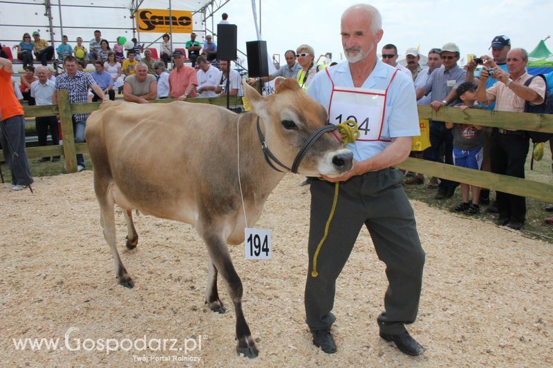 Superchampioni i championi Śląskiej Wystawy Bydła Mlecznego Opolagra 2011