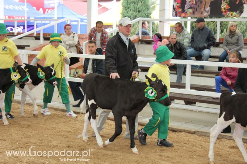 Mali Hodowcy VII Ogólnopolska Wystawa Bydła Hodowlanego w Sielinku 2012