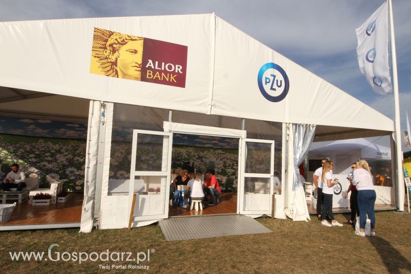 AgroShow 2018