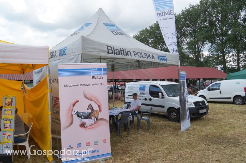 XXII Żuławskie Targi Rolne w Starym Polu