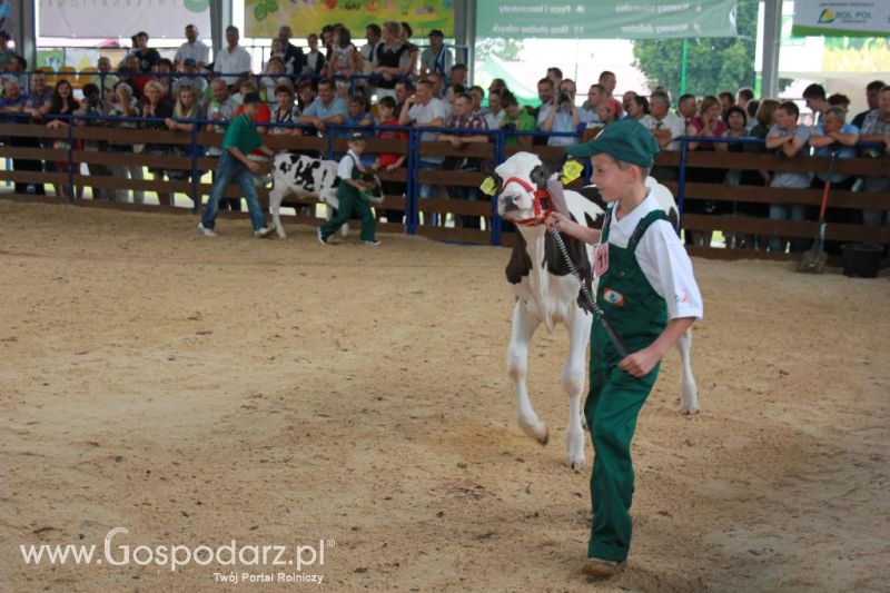Młody Hodowca - Szepietowo 2013 XX Regionalna Wystawa Zwierząt Hodowlanych