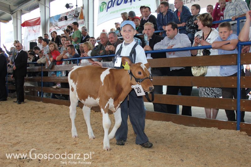 Młody hodowca na XVIII Regionalnej Wystawie Zwierząt Hodowlanych w Szepietowie