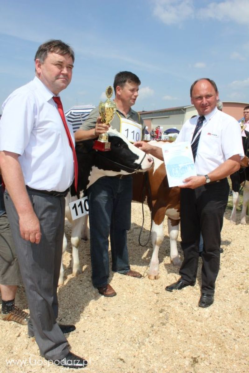 Superchampioni i championi Śląskiej Wystawy Bydła Mlecznego Opolagra 2011