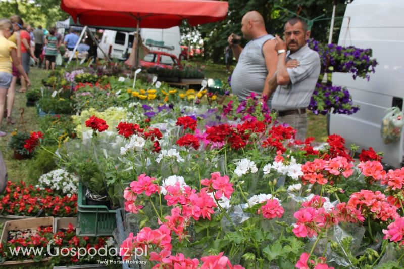 XXII Targi Rolniczo-Ogrodnicze Kościerzyn 2012