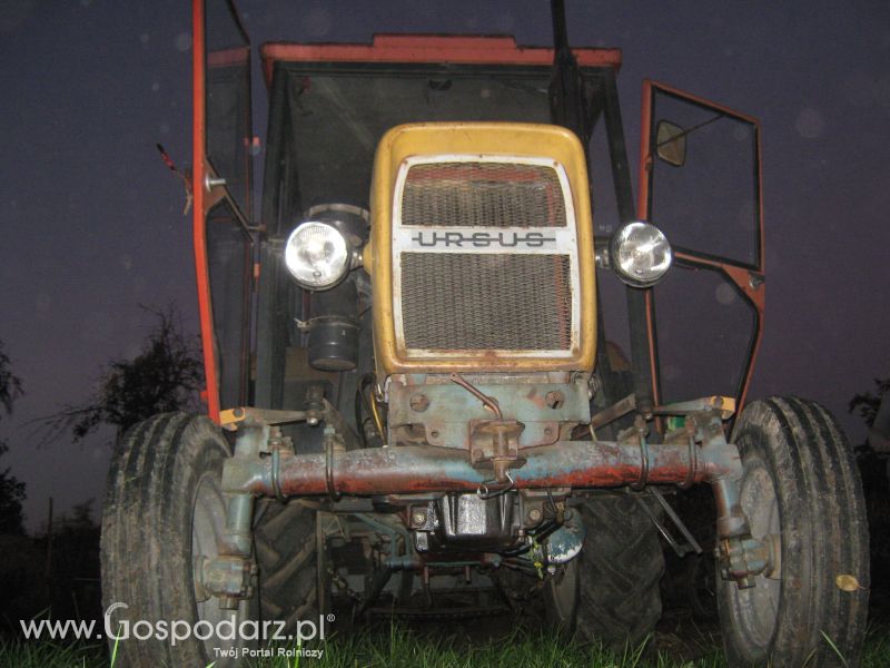 głowna