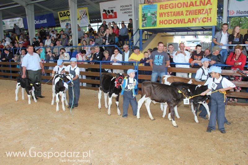 Młody hodowca na XVIII Regionalnej Wystawie Zwierząt Hodowlanych w Szepietowie
