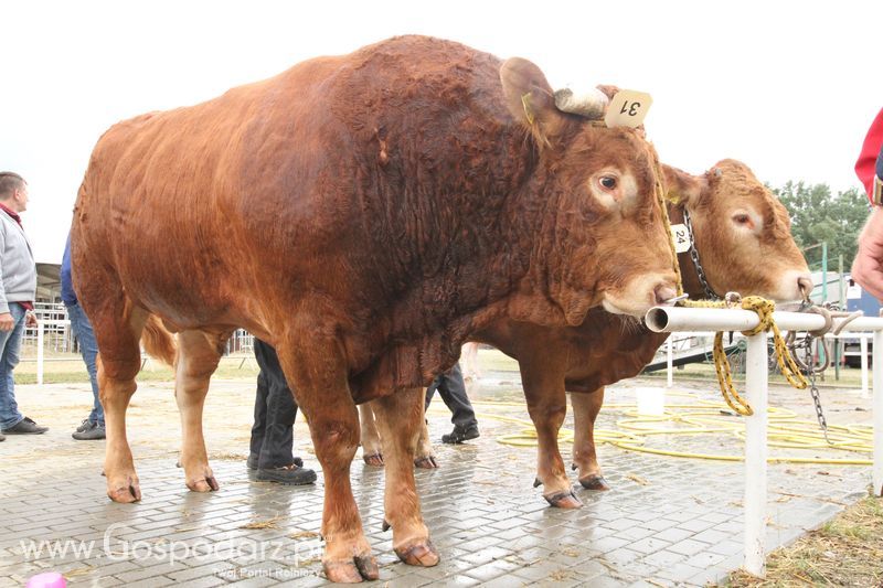 Agro-Tech Minikowo 2018