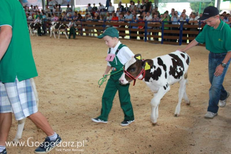 Młody Hodowca - Szepietowo 2013 XX Regionalna Wystawa Zwierząt Hodowlanych