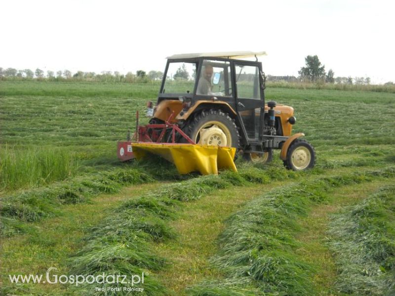 pierwsze sianokosy w roli głownej ursus c330M...