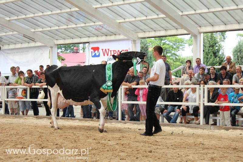 Czempioni XVII Regionalnej Wystawy Zwierząt Hodowlanych Sielinko 2011