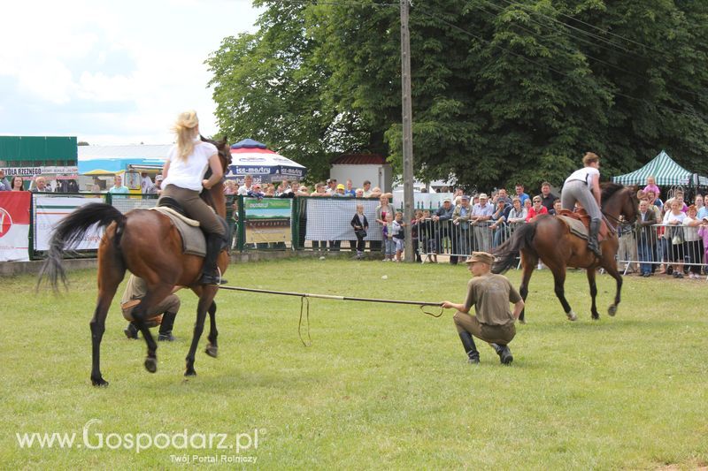 XVIII Regionalna Wystawa Zwierząt Hodowlanych i Dni z Doradztwem Rolniczym w Szepietowie - Sobota