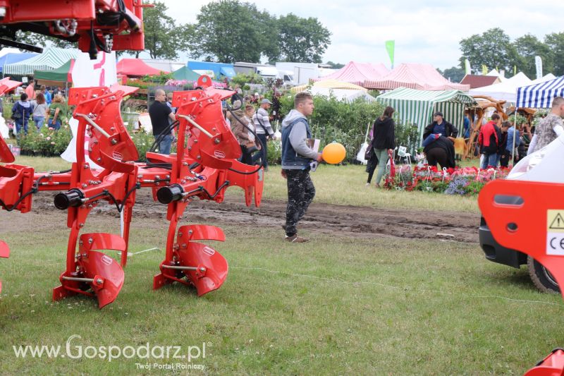 Maschio Gaspardo na AGRO-TECH Minikowo 2017