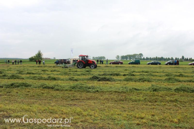 Pokaz maszyn zielonkowych w Pierzyskach k/Gniezna
