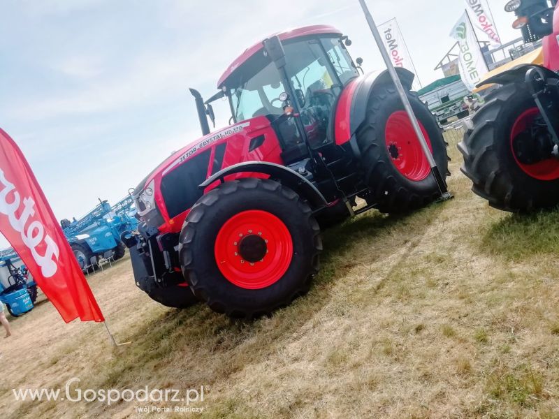 Opologra 2019