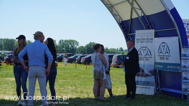 Skavska Hale na ZIELONE AGRO SHOW w Ułężu 2017