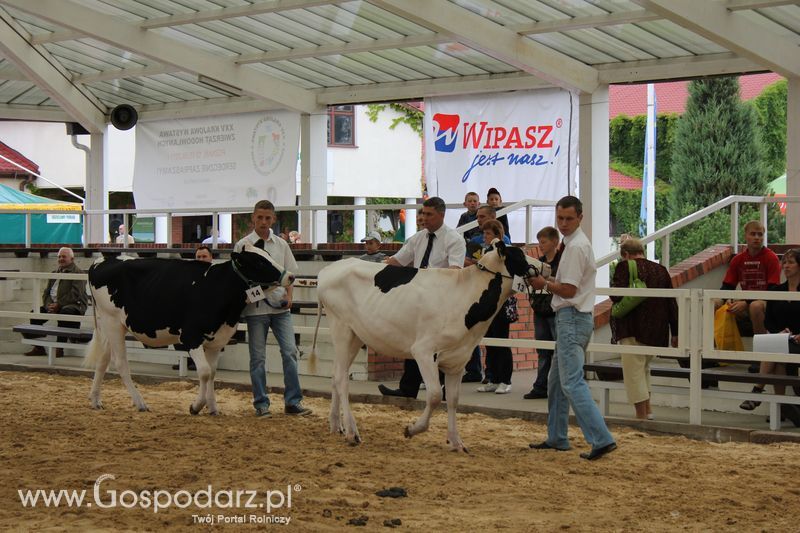 Wystawa bydła Sielinko 2011