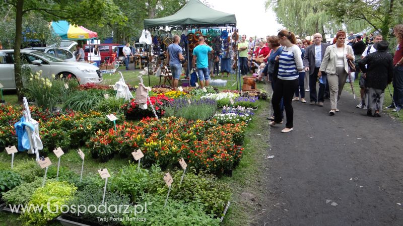 Pałuckie Targi Rolne 2014