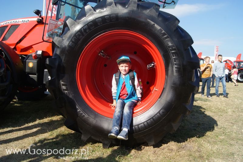 Agro Show 2015 z Inter-vax