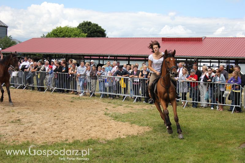XVIII Regionalna Wystawa Zwierząt Hodowlanych i Dni z Doradztwem Rolniczym w Szepietowie - Sobota