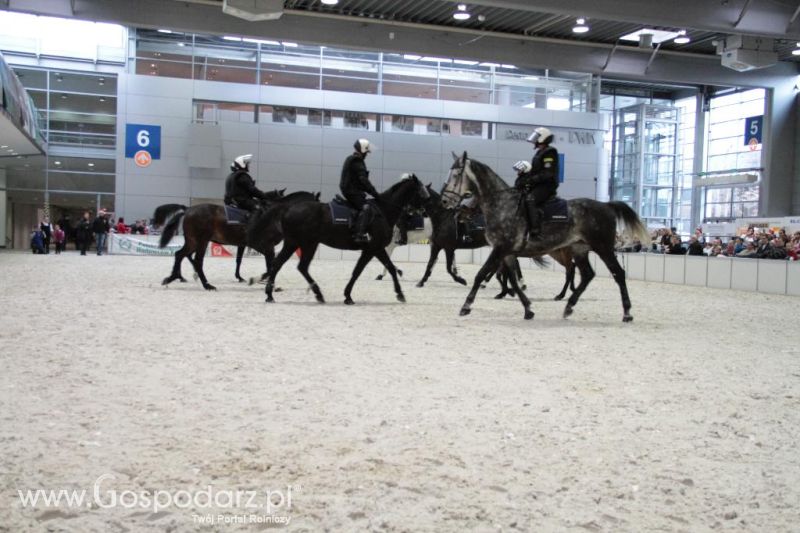 CAVALIADA 2013 w Poznaniu