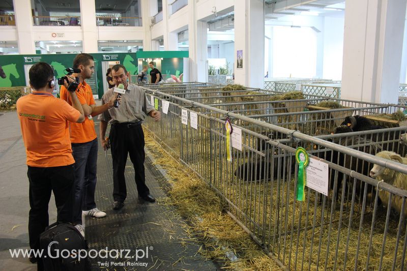 X Wystawa Ras Rodzimych - Wręczenie nagród