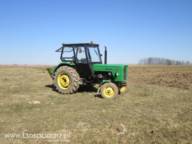 Fotki z wiosny 2015