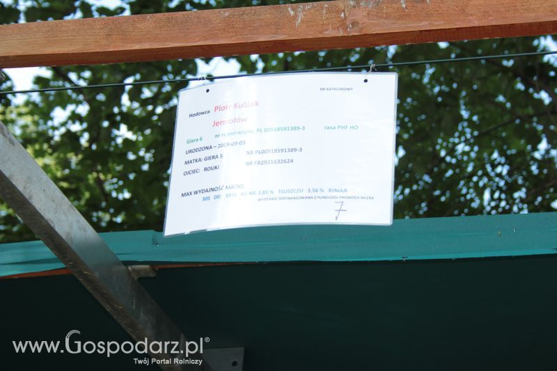 XX Targi Rolnicze Lubniewice - zwierzęta