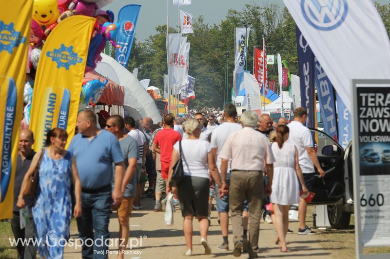  Regionalna Wystawa Zwierząt Hodowlanych W Szepietowie 2016 z Gospodarz.pl