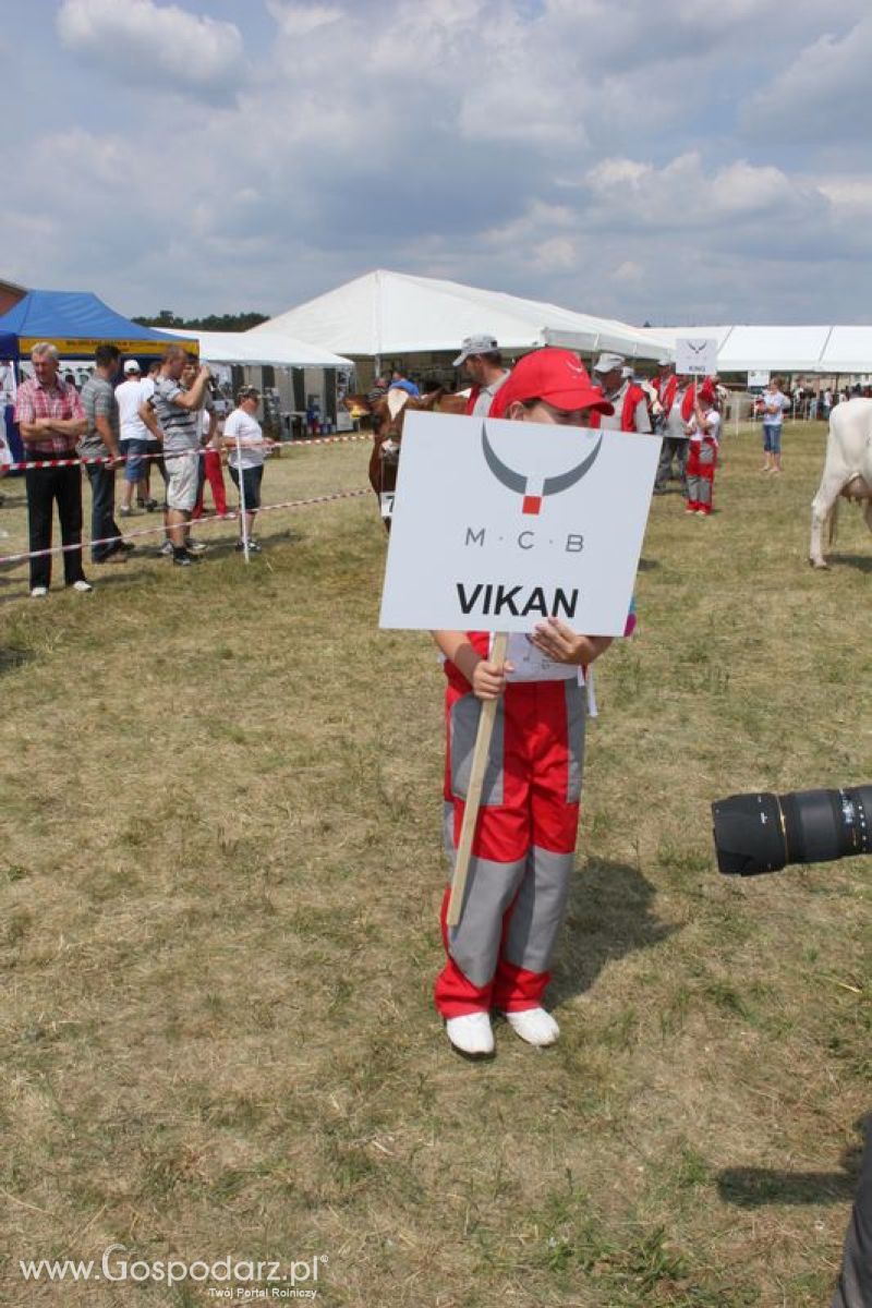 Wystawa Bydła: Konkurs Młodego Hodowcy - Opolagra 2011