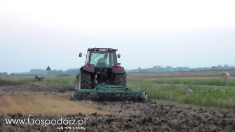 Talerzowane 2013 