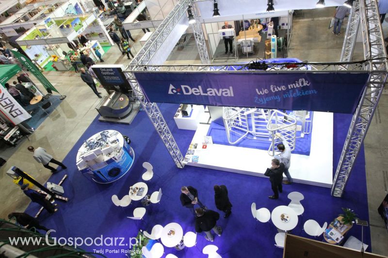 FERMA 2020 dzień 3