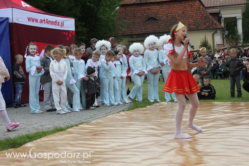 Występy artystyczne odbywające się podczas Dni Indyka