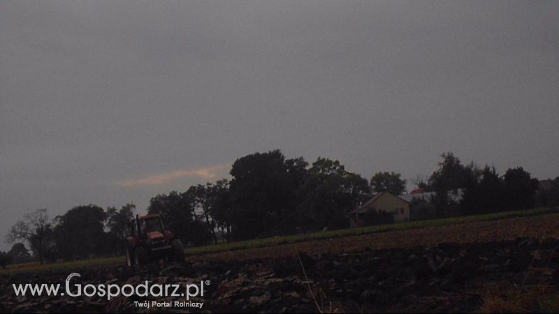 Orka 2013