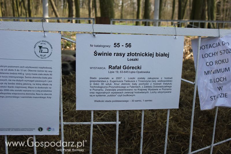 Targi Rolno-Ogrodnicze AGROMARSZ Marszew 2011