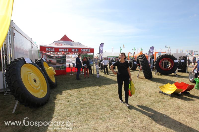 AGRO SHOW Bednary 2016 - Niedziela