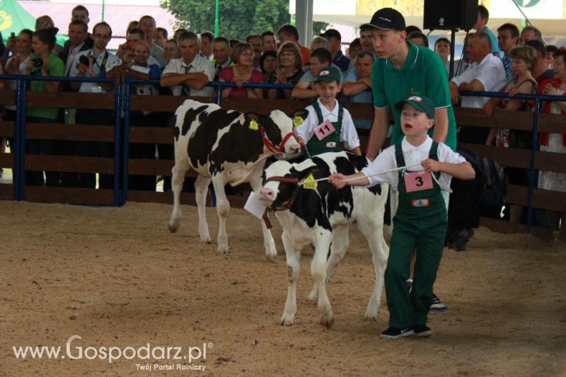 Młody Hodowca - Szepietowo 2013 XX Regionalna Wystawa Zwierząt Hodowlanych