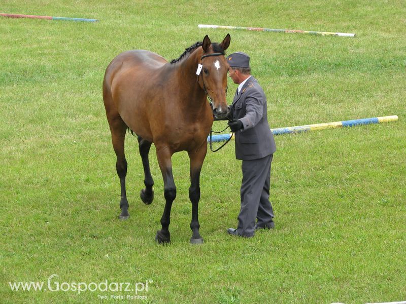 Wystawa Koni Sielinko 2011