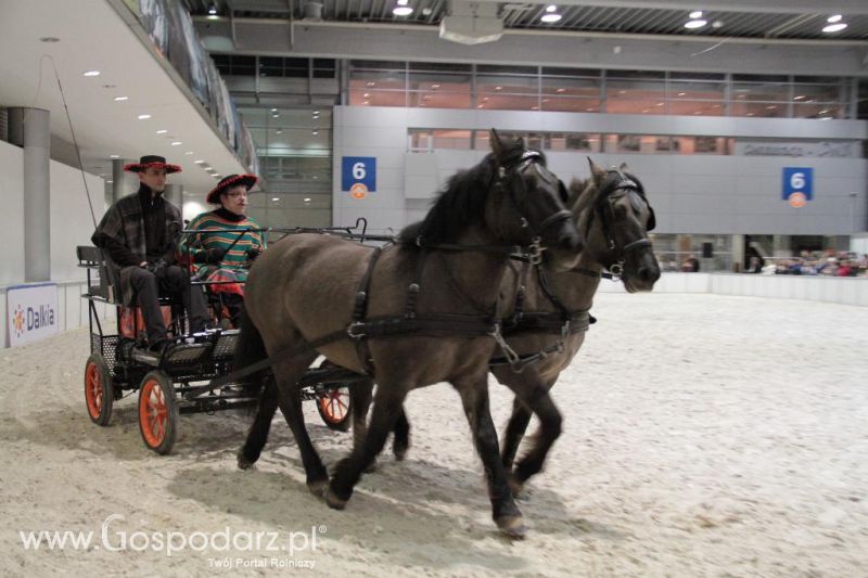 CAVALIADA 2013 w Poznaniu