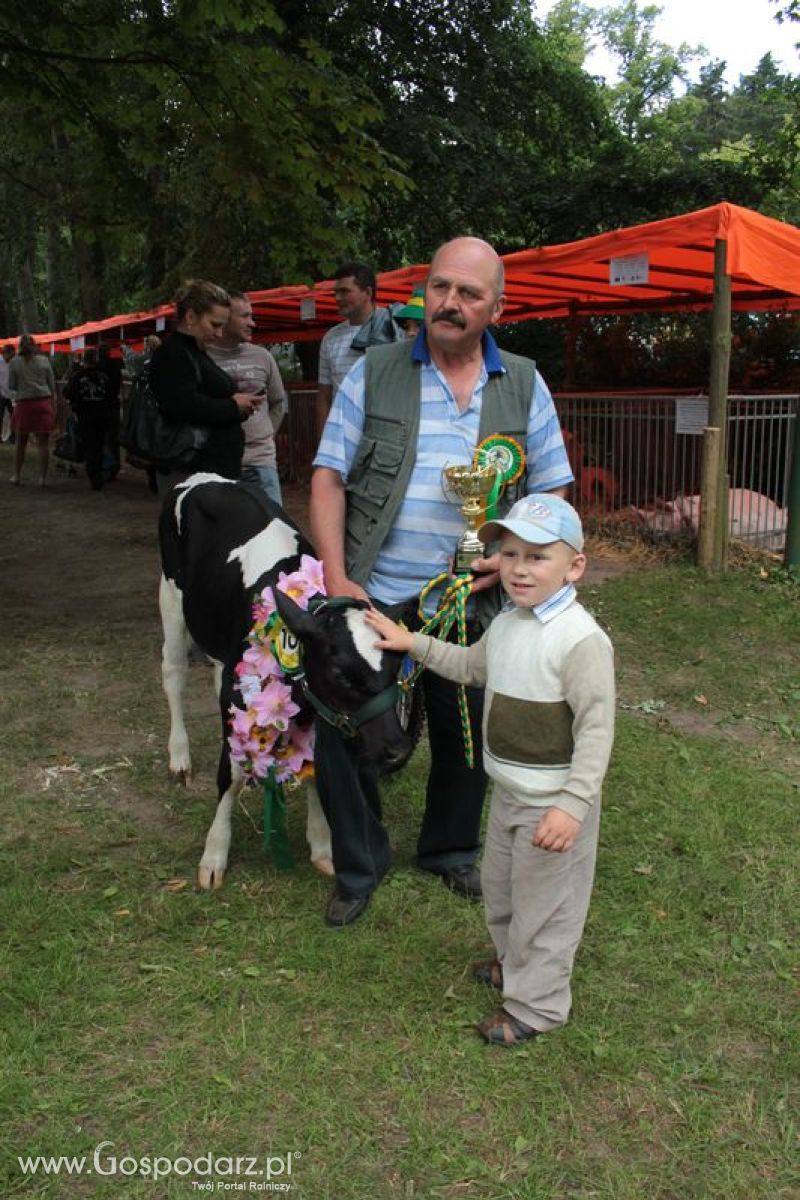 XX Targi Rolnicze Lubniewice 