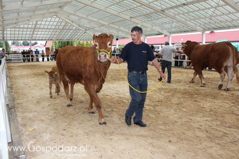 Wielkopolskie Targi Rolnicze „Sielinko 2011”  - Sobota