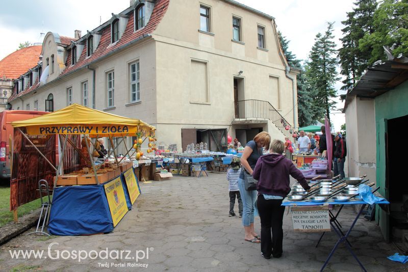 XX Targi Rolnicze Lubniewice 