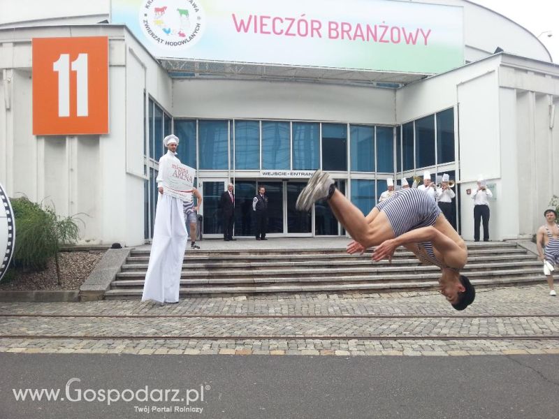 Mięsna Arena 2013 w Poznaniu