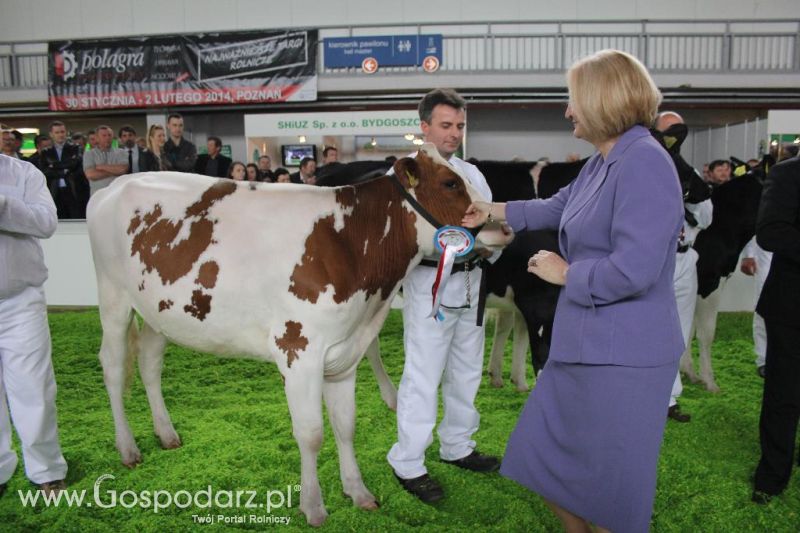 XXVI Krajowa Wystawa Zwierząt Hodowlanych - sobota i niedziela