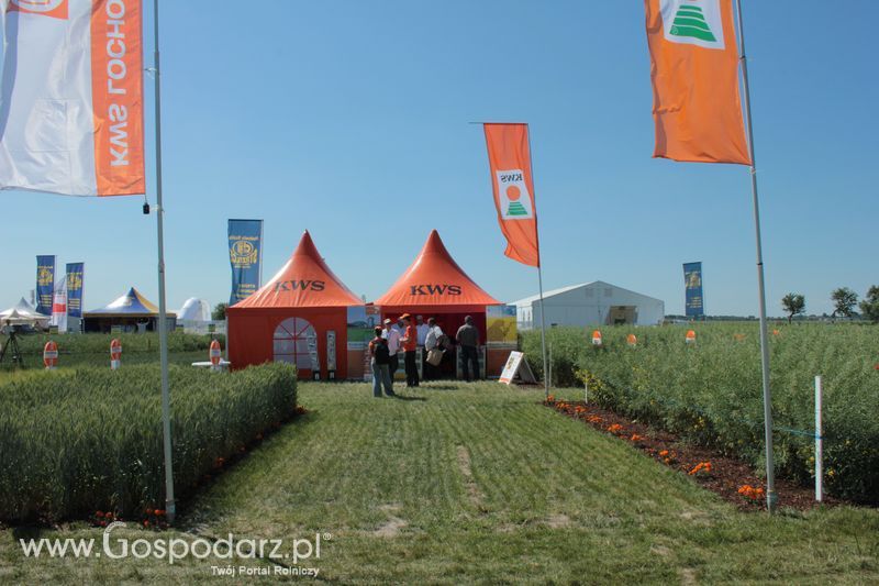 Polskie Zboża 2011 - Piątek 