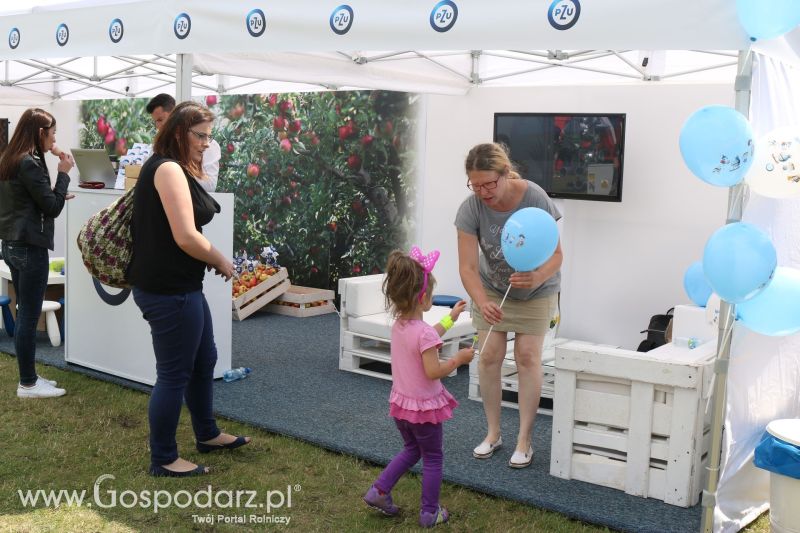 PZU na AGRO-TECH Minikowo 2017