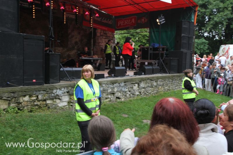 Ogólnopolskie Targi Sztuki Kowalskiej - Wojciechów 2013
